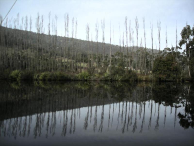 Port Huon Cottages Luaran gambar